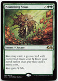 Nourishing Shoal NM R Ultimate Masters 175