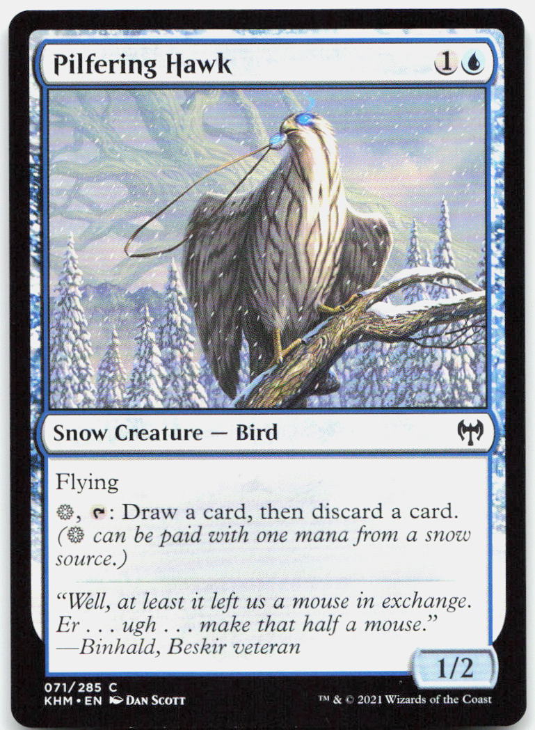 Pilfering Hawk NM C Kaldheim 71