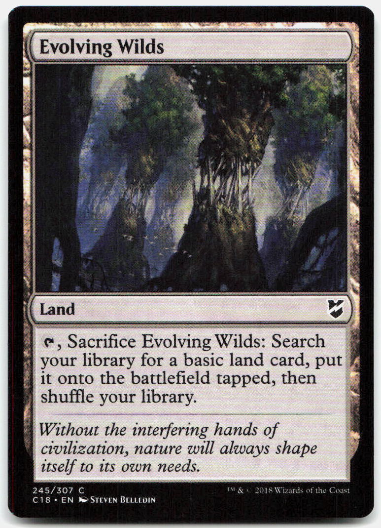 Evolving Wilds NM C Commander 2018 245