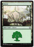 Forest NM L Kaladesh 264