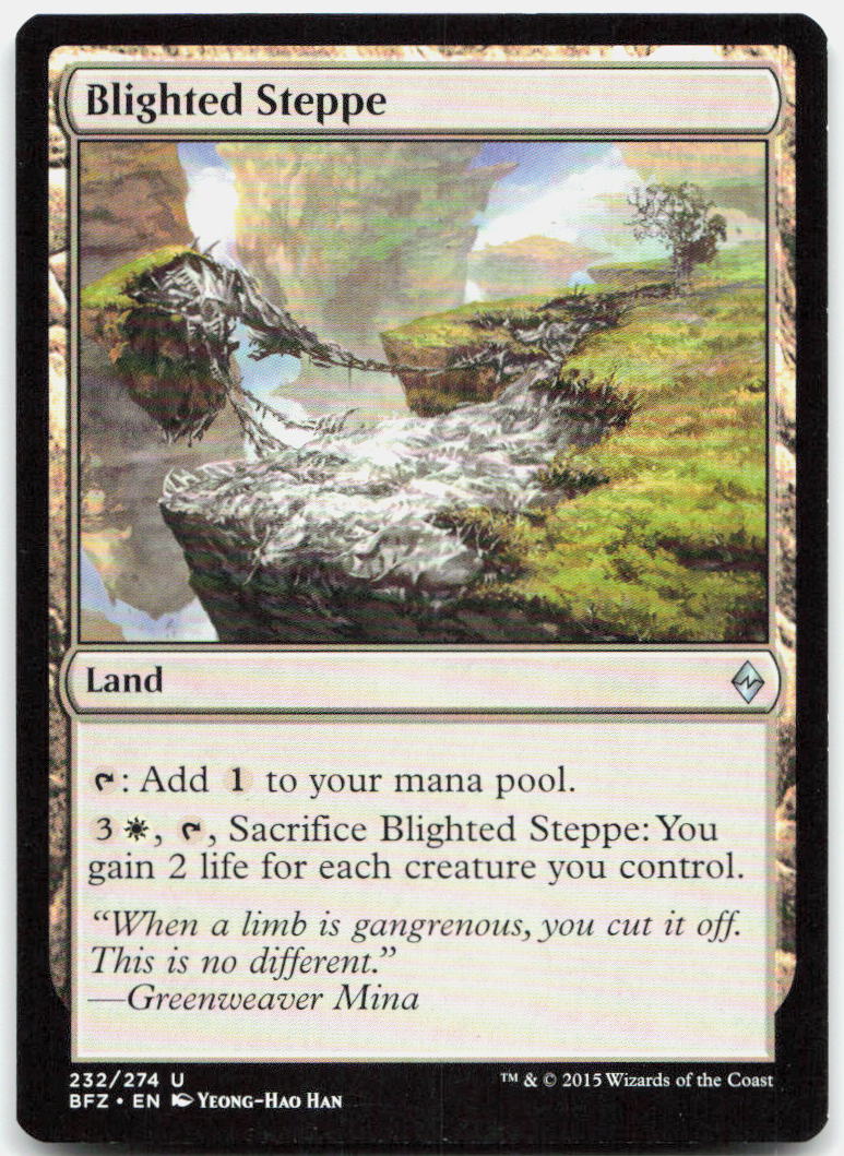 Blighted Steppe NM U Battle for Zendikar 232
