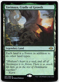 Yavimaya, Cradle of Growth NM Foil R Modern Horizons 2 261