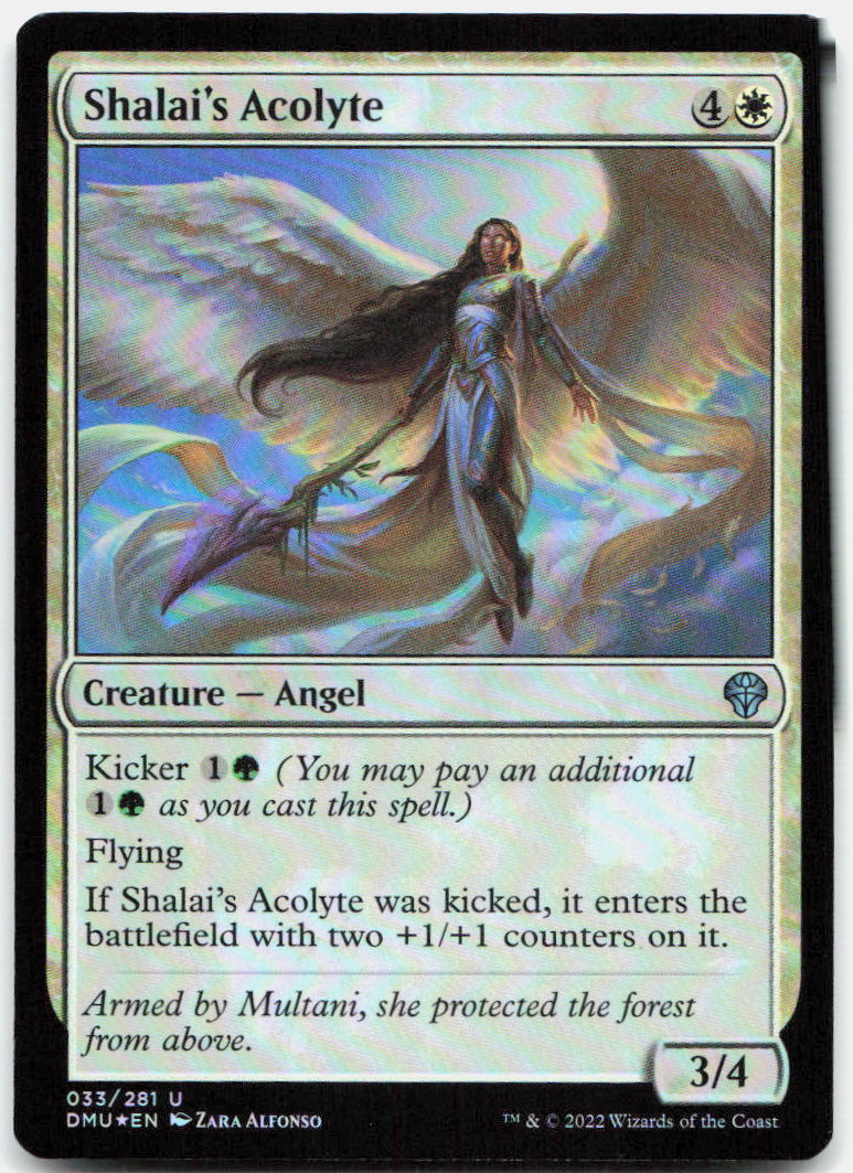 Shalai's Acolyte NM Foil U Dominaria United 33