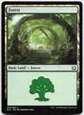 Forest NM L Kaladesh 262