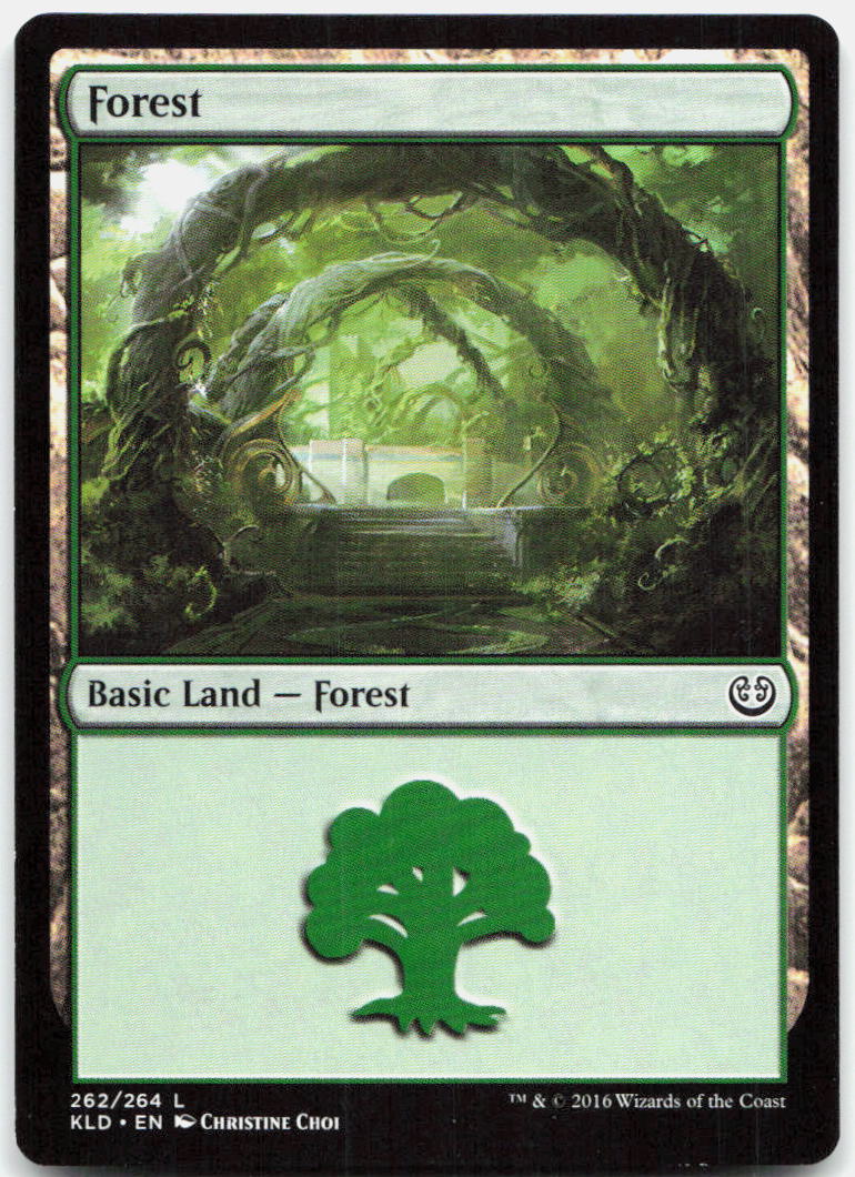 Forest NM L Kaladesh 262