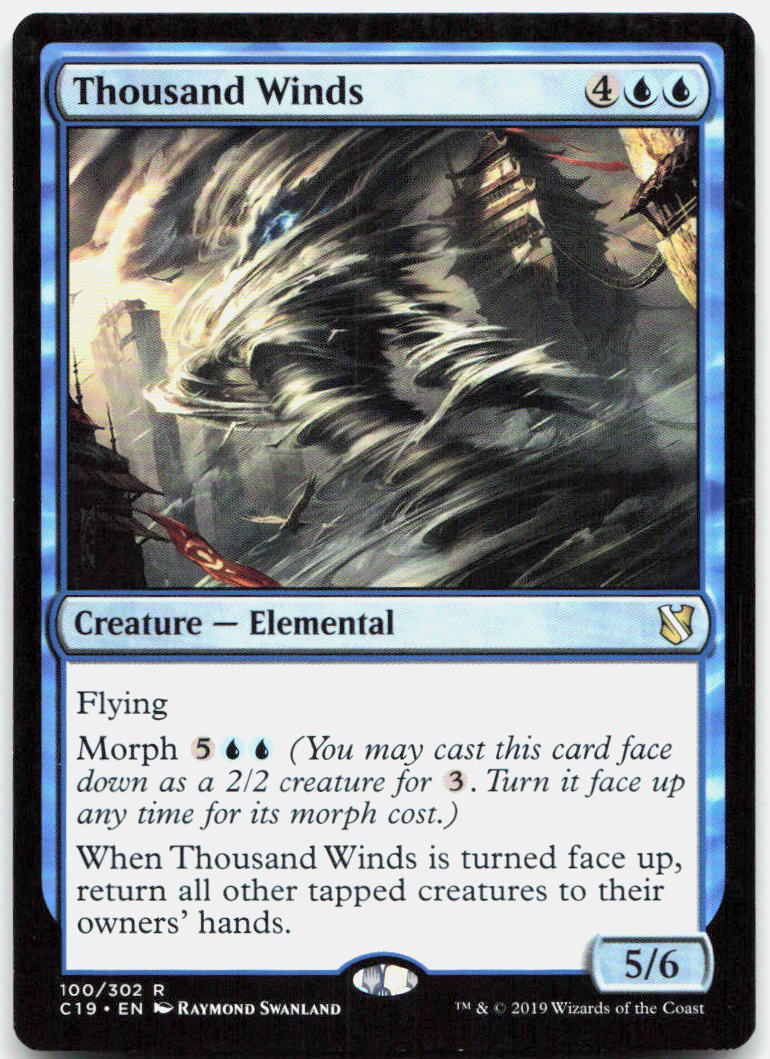 Thousand Winds NM R Commander 2019 100