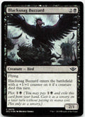 Blacksnag Buzzard NM Foil C Outlaws of Thunder Junction 79