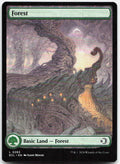Forest NM L Lorwyn Eclipsed 283
