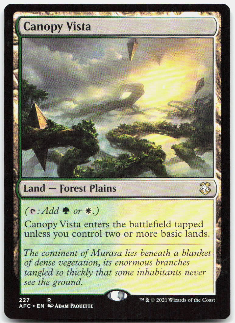 Canopy Vista NM R Commander: Adventures in the Forgotten Realms 227