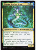 Tatyova, Benthic Druid NM U Commander: Duskmourn: House of Horror 235