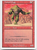 Trained Orgg NM R Starter 1999 120