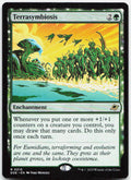 Terrasymbiosis NM R Edge of Eternities 210