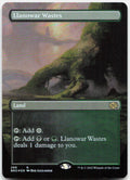 Llanowar Wastes (Borderless) NM Foil R The Brothers' War 299