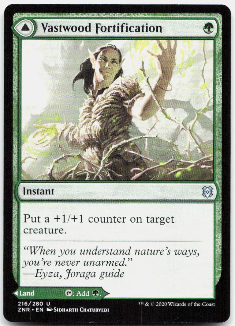 Vastwood Fortification NM U Zendikar Rising 216
