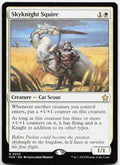 Skyknight Squire NM R Foundations 23
