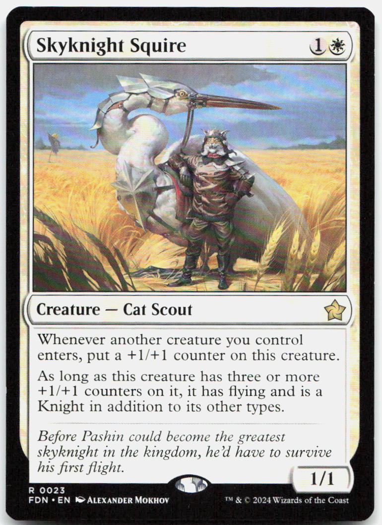 Skyknight Squire NM R Foundations 23