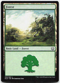 Forest NM L Kaladesh 263
