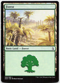 Forest NM L Amonkhet 269