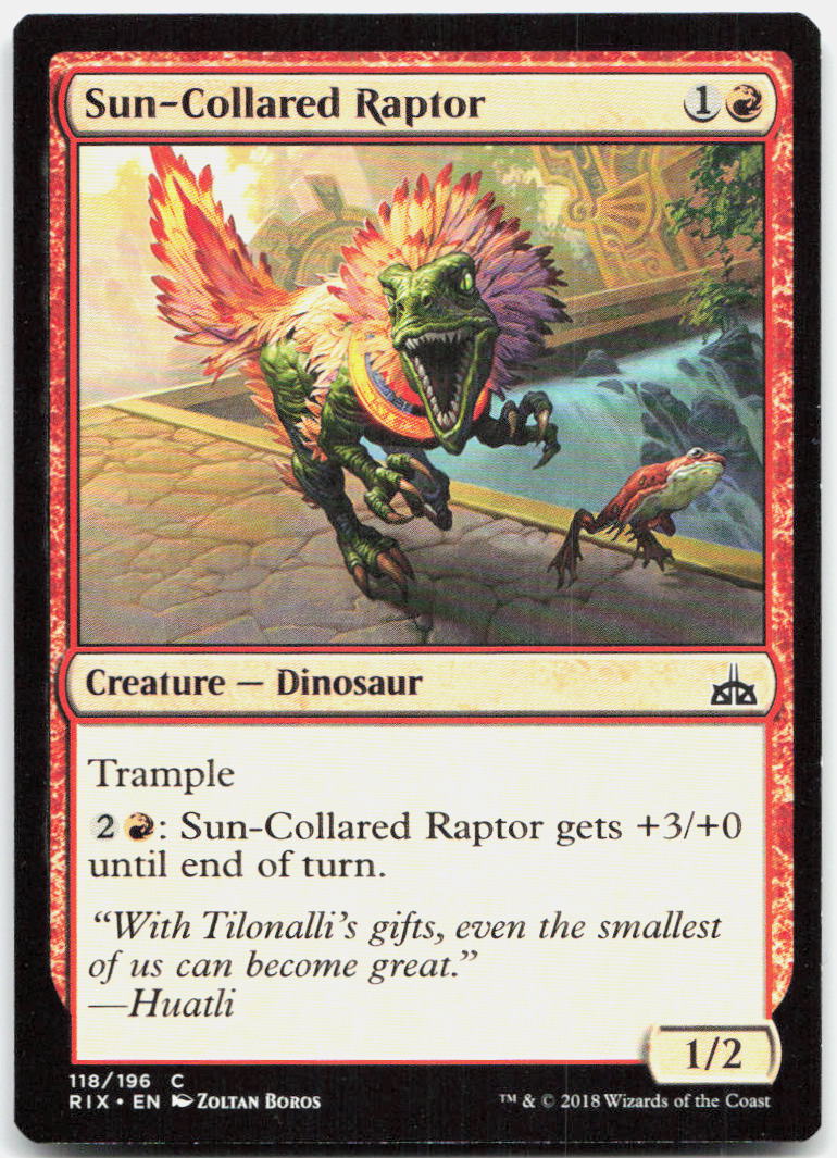 Sun-Collared Raptor NM C Rivals of Ixalan 118