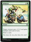 Wildsize NM C Iconic Masters 191