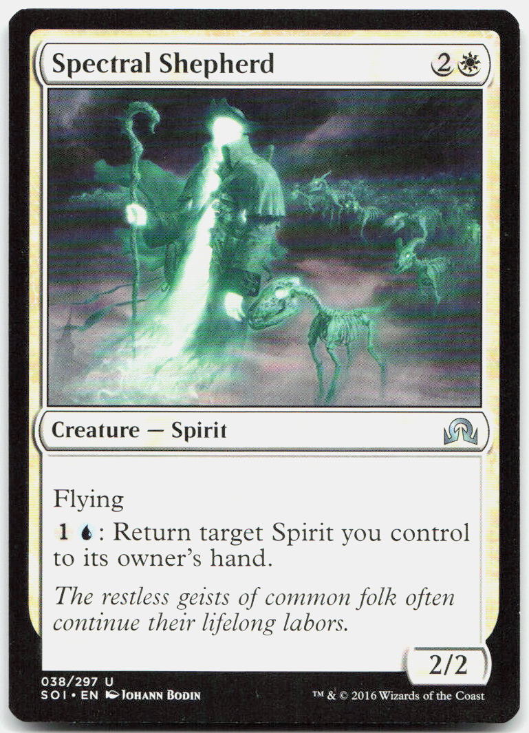 Spectral Shepherd NM U Shadows over Innistrad 38