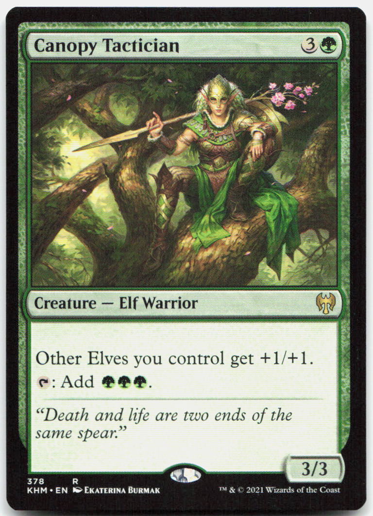Canopy Tactician NM R Kaldheim 378