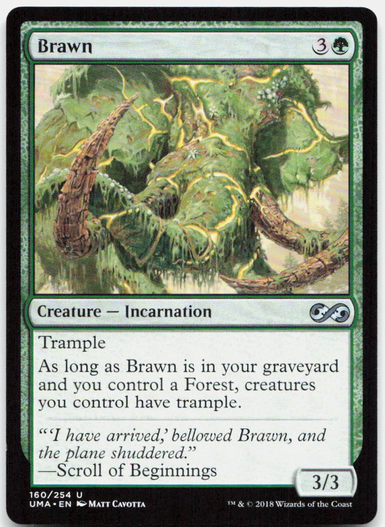 Brawn NM U Ultimate Masters 160