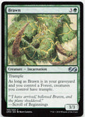 Brawn NM U Ultimate Masters 160